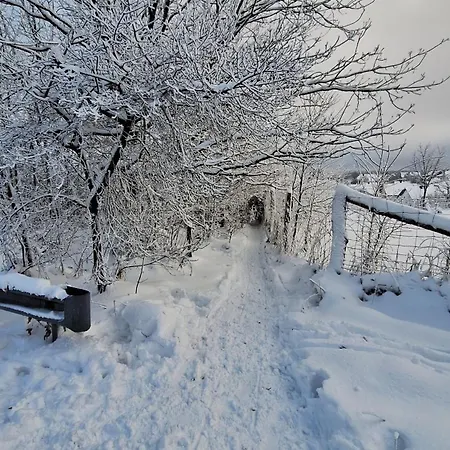 Daire Sophie Winterberg