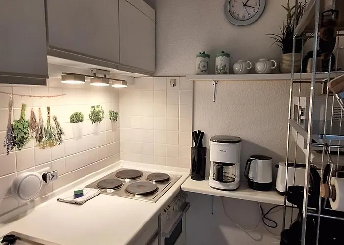 Sophie Daire Winterberg