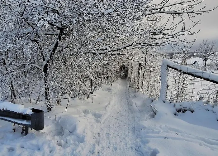 アパート Sophie ヴィンターベルク